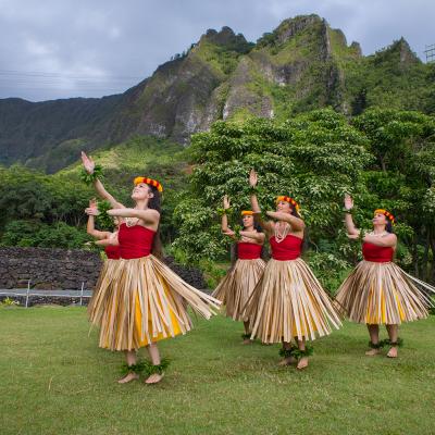 Things you must see and do in hawaii hawaii experiences go hawaii